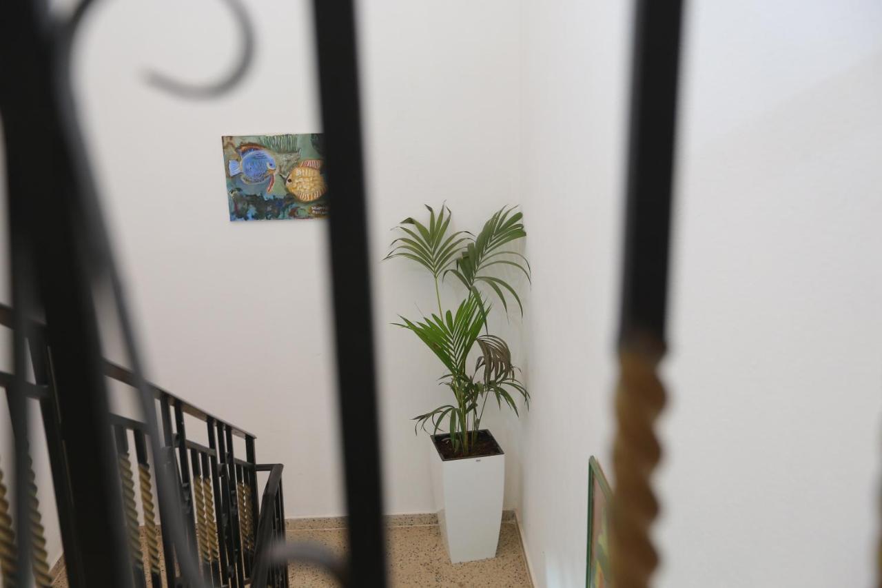 Apartment Celaj Velipoje Luaran gambar